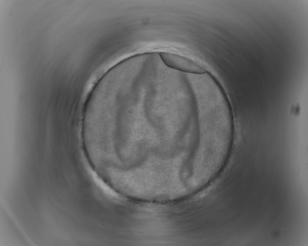 X0000111791525200908131400