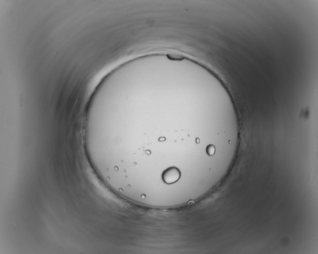 X0000111791526200908131400