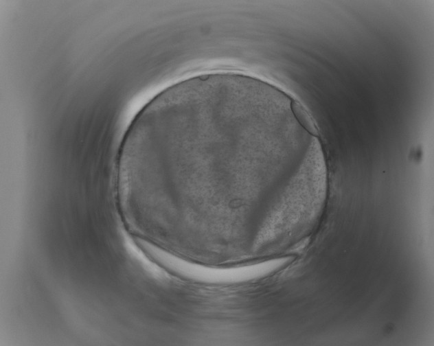 X0000111791527200908131400