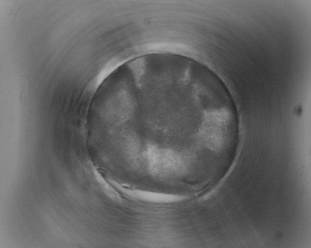 X0000111791529200908131400