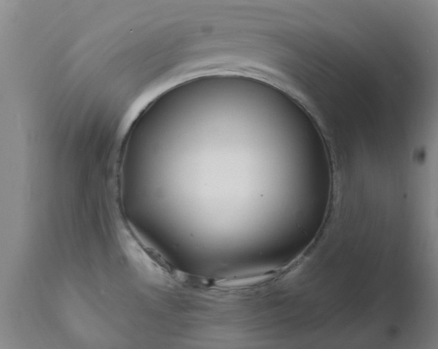 X0000111791530200908131400