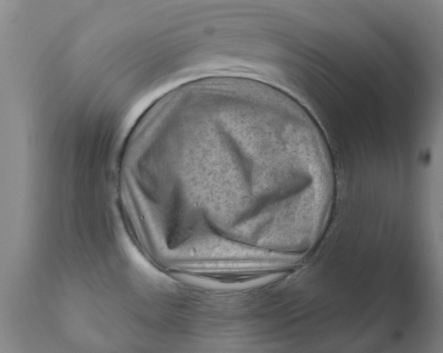 X0000111791531200908131400