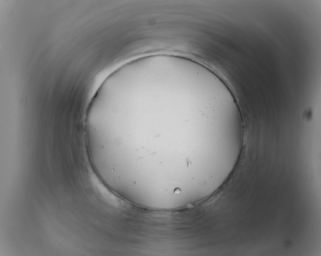 X0000111791532200908131400