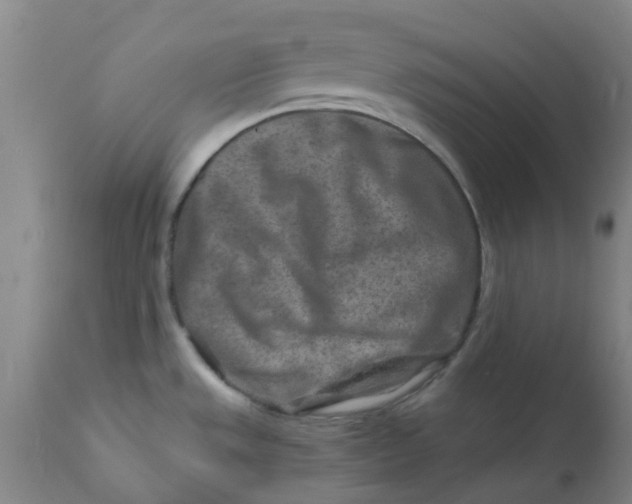 X0000111791533200908131400