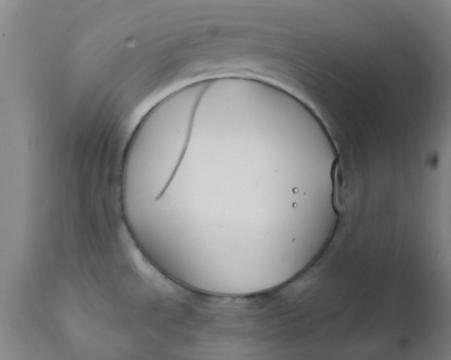 X0000111791534200908131400