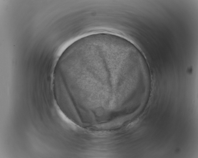 X0000111791535200908131400