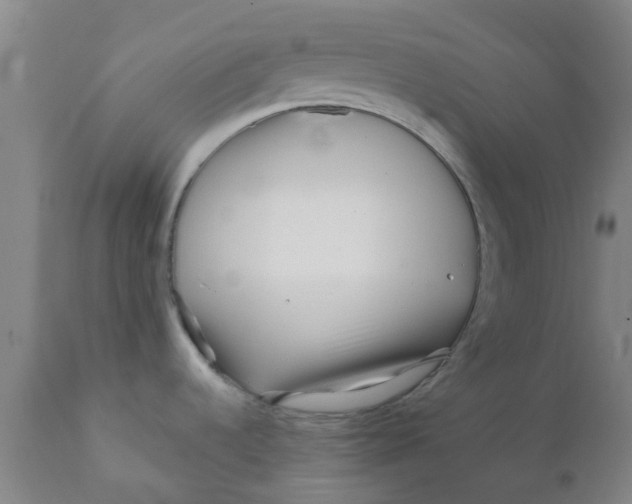 X0000111791536200908131400