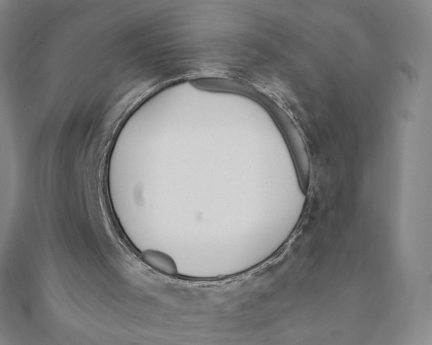 X0000111790001200908201141