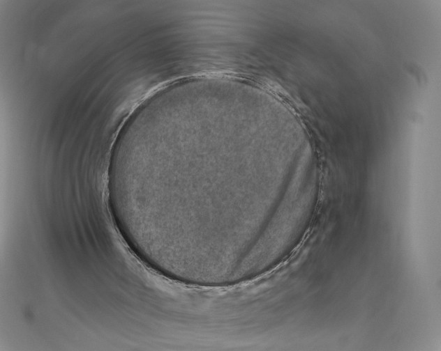 X0000111790002200908201141