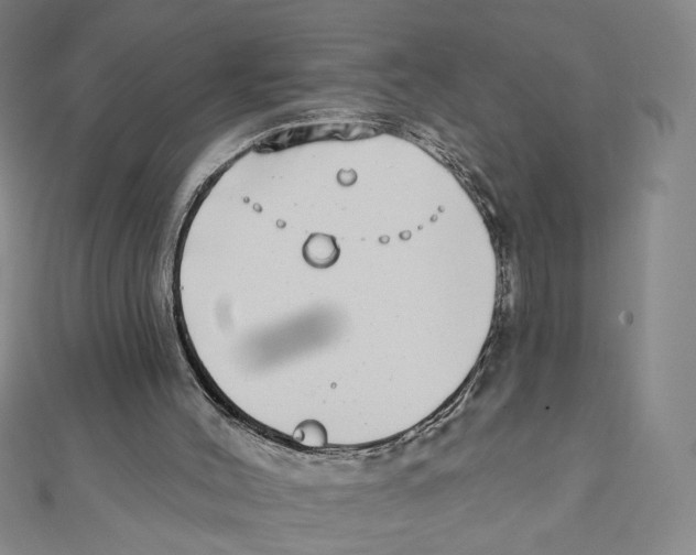 X0000111790004200908201141