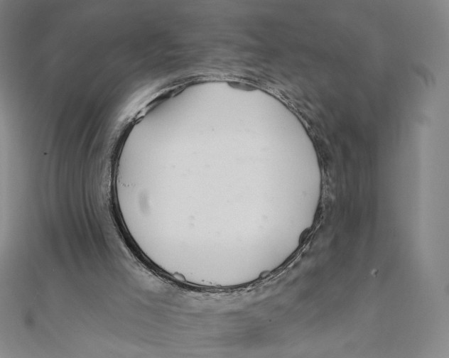 X0000111790005200908201141