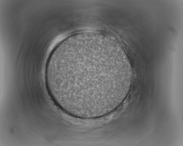 X0000111790006200908201141