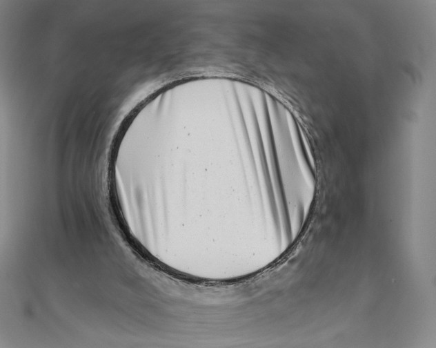 X0000111790008200908201141