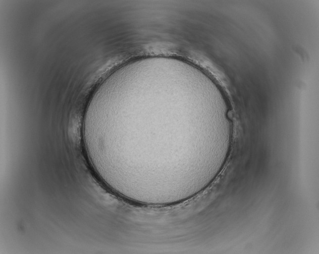 X0000111790009200908201141