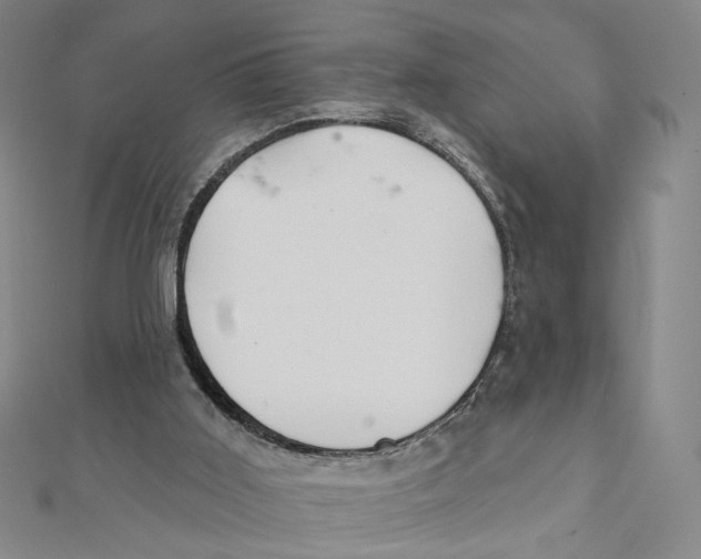 X0000111790011200908201141