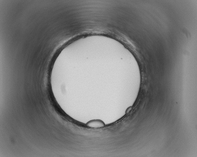 X0000111790012200908201141