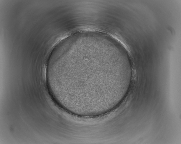 X0000111790014200908201141