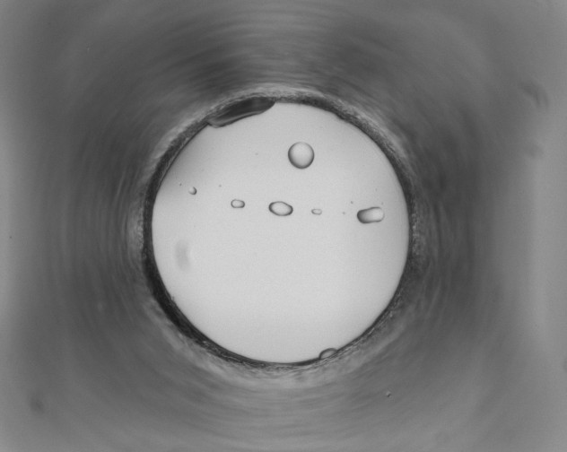 X0000111790015200908201141