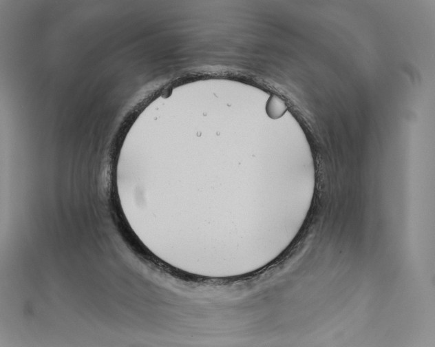 X0000111790016200908201141