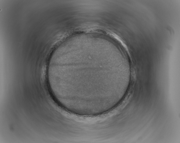 X0000111790018200908201141