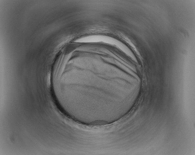 X0000111790019200908201141