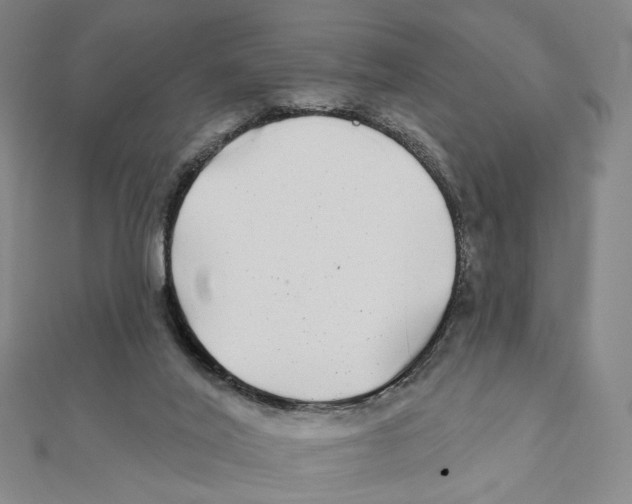 X0000111790020200908201141