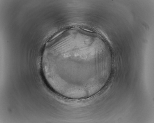 X0000111790023200908201141