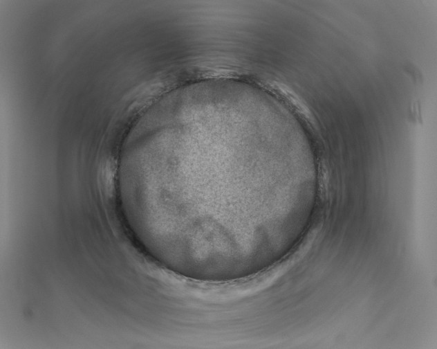 X0000111790026200908201141