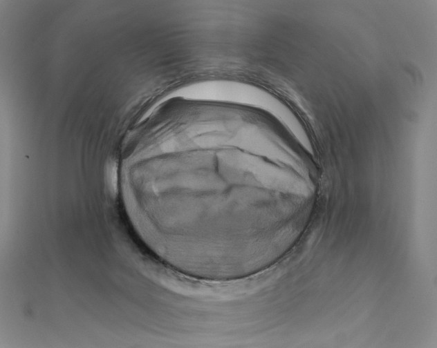 X0000111790027200908201141