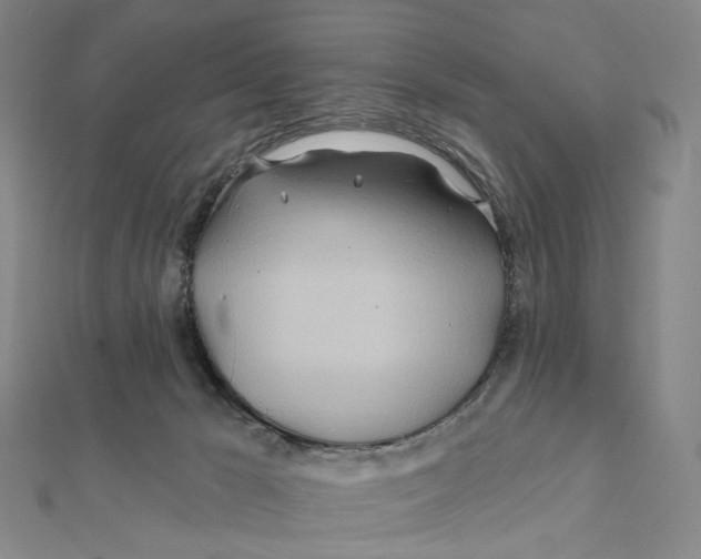 X0000111790029200908201141