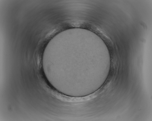 X0000111790031200908201141