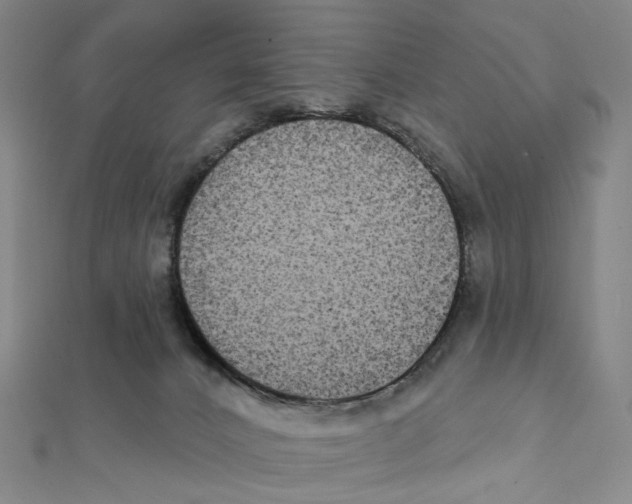 X0000111790032200908201141