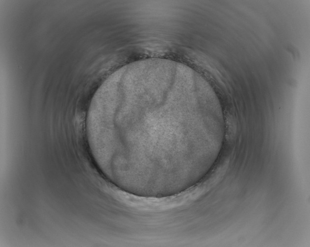 X0000111790034200908201141