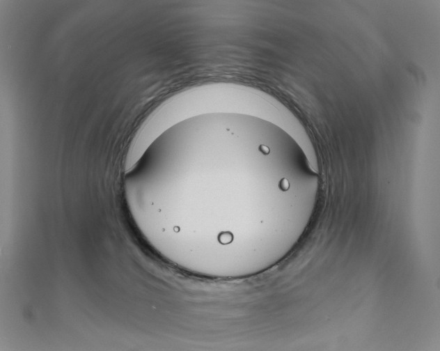 X0000111790036200908201141