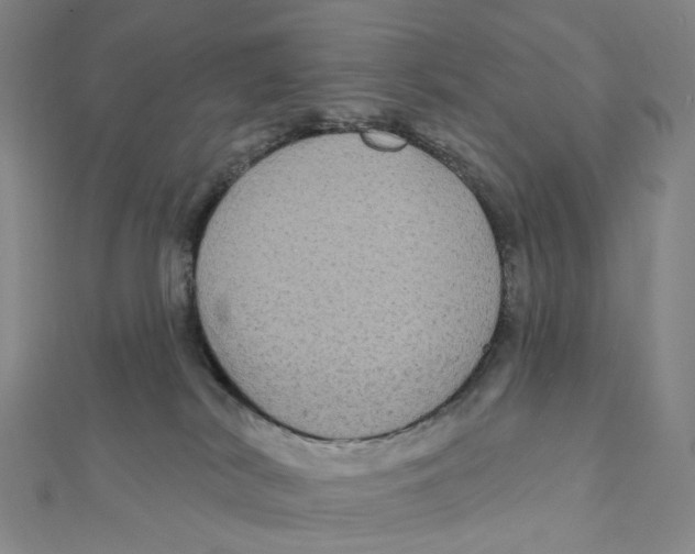 X0000111790038200908201141