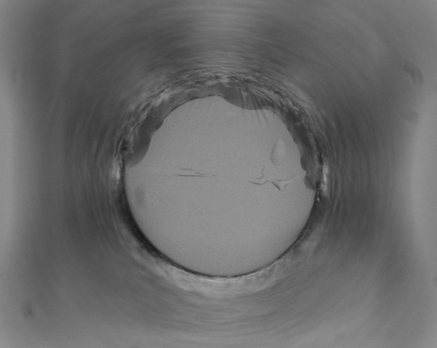 X0000111790039200908201141