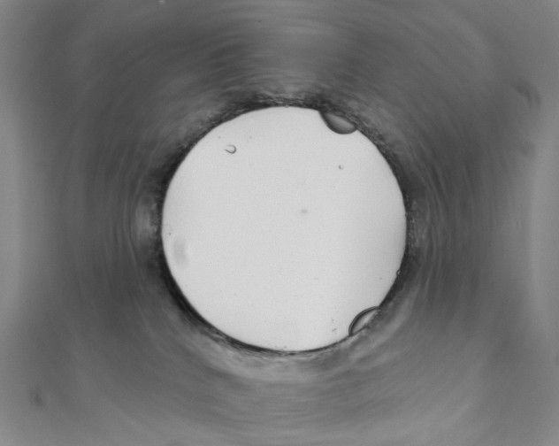 X0000111790040200908201141