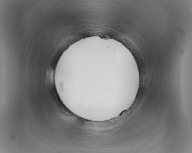 X0000111790041200908201141