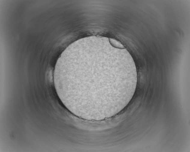 X0000111790042200908201141