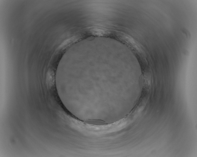 X0000111790043200908201141