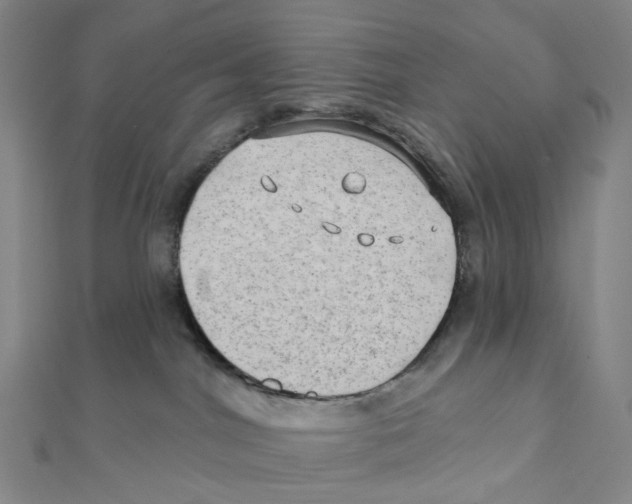 X0000111790044200908201141