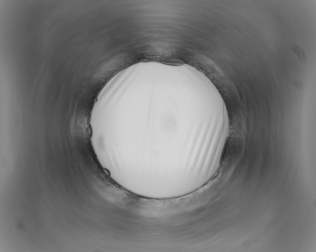 X0000111790045200908201141