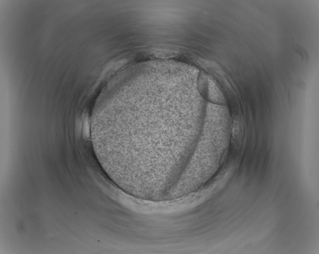 X0000111790046200908201141