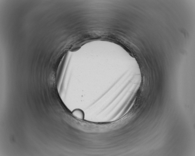 X0000111790048200908201141