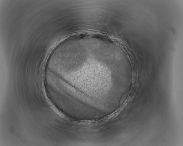 X0000111790049200908201140