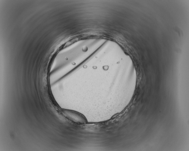 X0000111790050200908201140