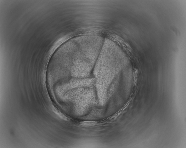 X0000111790051200908201140