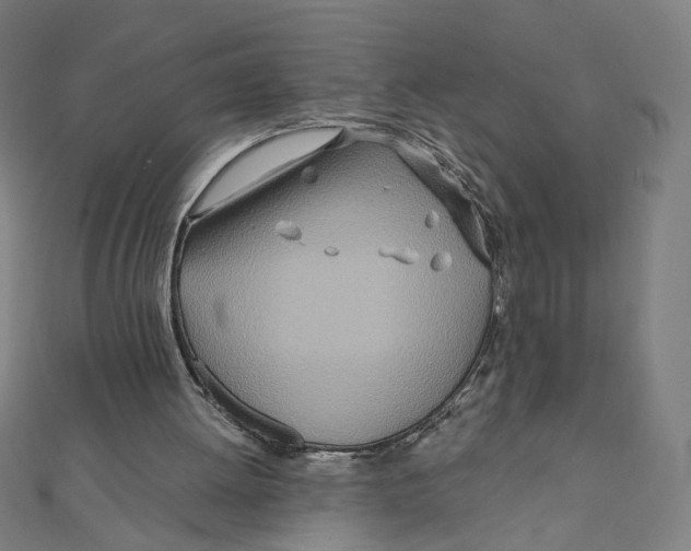 X0000111790052200908201140