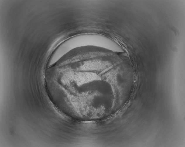 X0000111790053200908201140