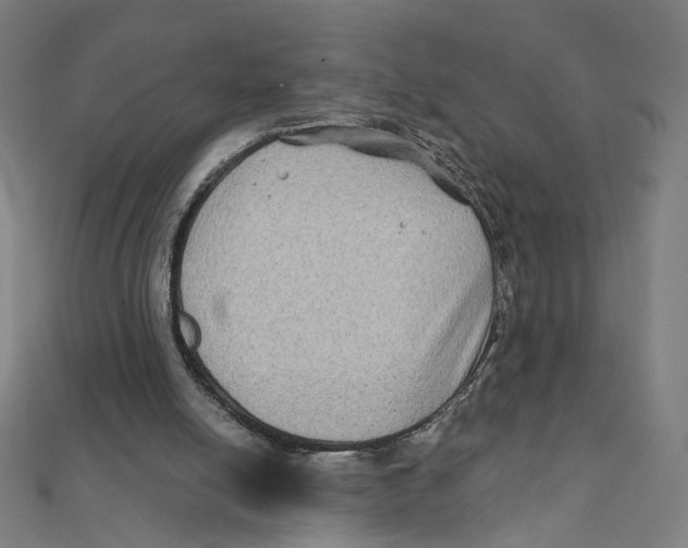 X0000111790054200908201140